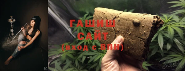 PSILOCYBIN Алзамай