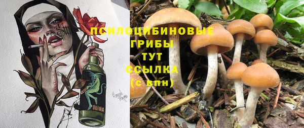 соль курить ск Алексин