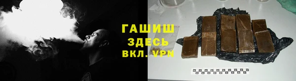 PSILOCYBIN Алзамай