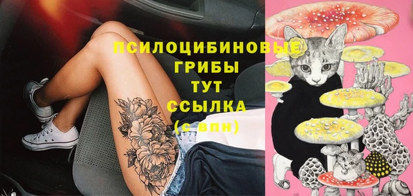 соль курить ск Алексин