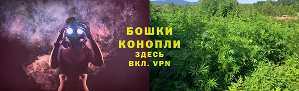 PSILOCYBIN Алзамай
