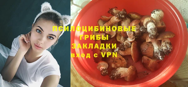 PSILOCYBIN Алзамай