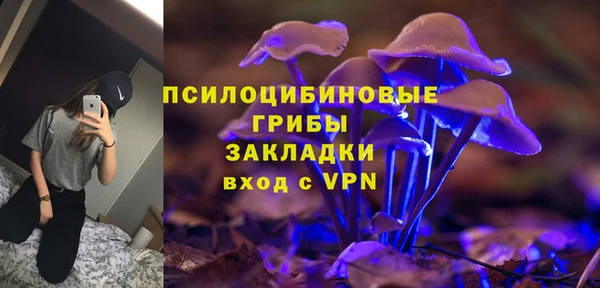 PSILOCYBIN Алзамай