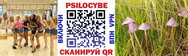 Галлюциногенные грибы GOLDEN TEACHER Заводоуковск